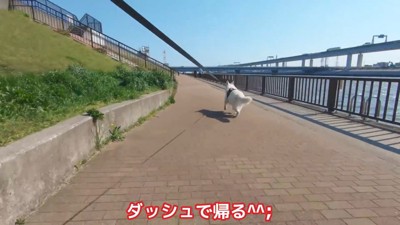 BJくんが彼女さんに気づくか検証⑩