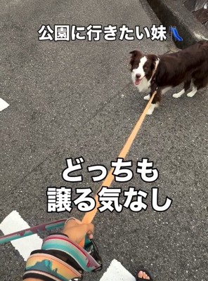 公園にいきたい りっかちゃん