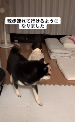 リコちゃんをかわしたミヤビちゃん