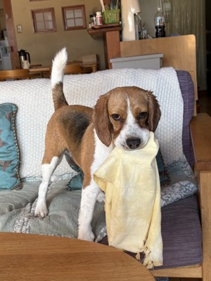 悪い雰囲気がプンプン…!