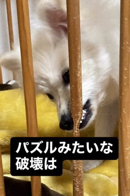 いたずらが豪快！！