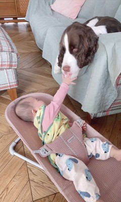 ププくんと娘さん5