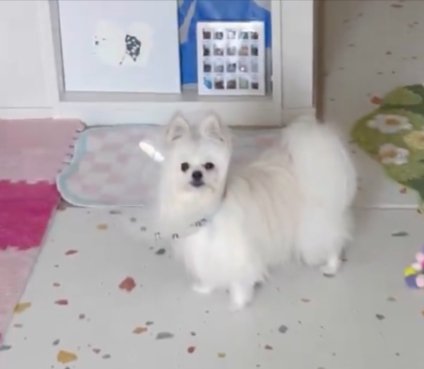 エリカランウェイ