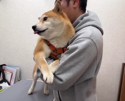 2匹を連れて動物病院へ