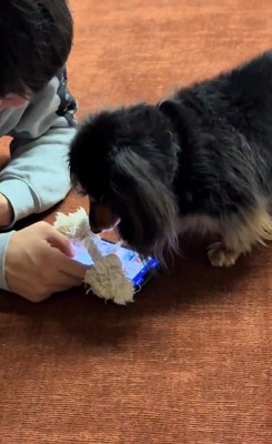 ドアップのるんちゃん