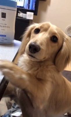 2位と答えるモナカくん