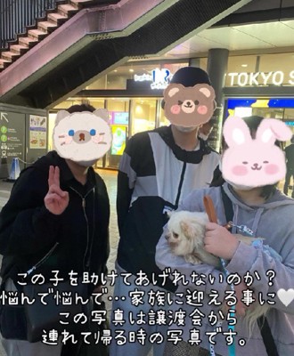 家族として迎え入れることに