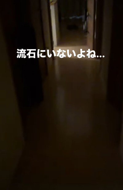 お出迎えはないかな？