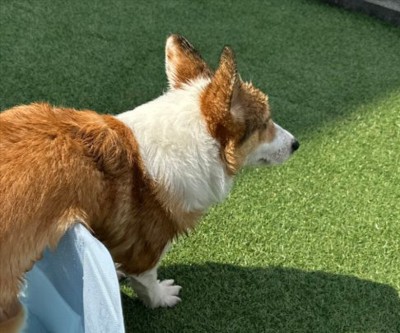 可愛すぎる光景