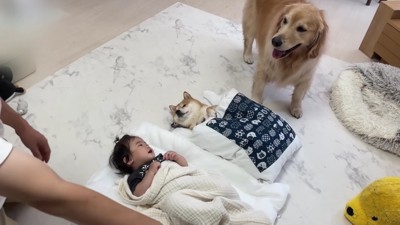 「私も一緒に寝たい!」