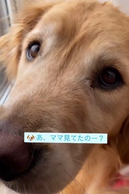 「見てたの！？」