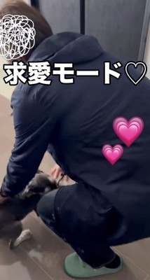 撫でられて喜ぶ犬