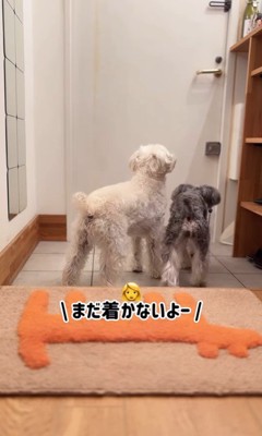 バンデくんとなぎちゃんの本当のおかえり3