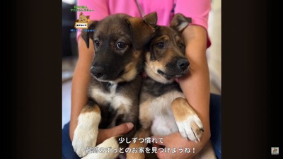 詩音くんと花音ちゃんが幸せを掴むまで3