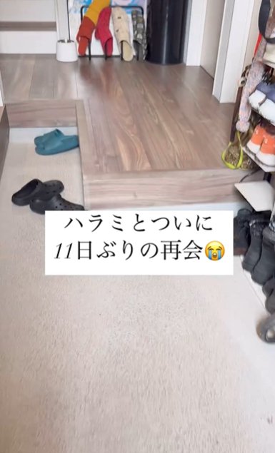 誰もいない玄関