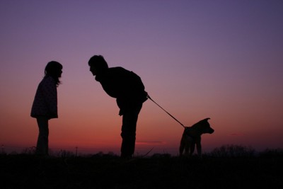 散歩をする犬のシルエット