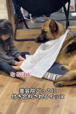 仲良しなのが伝わってきます