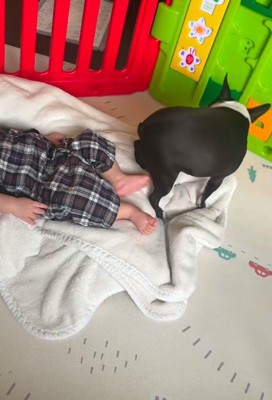 細心の注意を払いながら移動