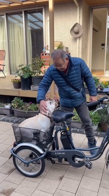 年配男性に頭を撫でられる犬