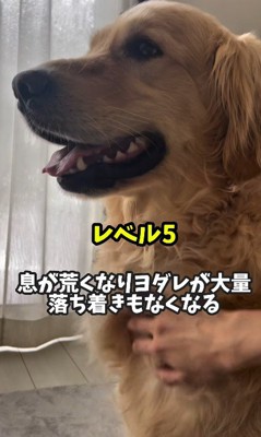 ドキドキが止まらない