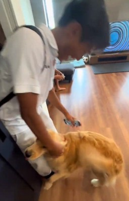 プチパニックのエルちゃん