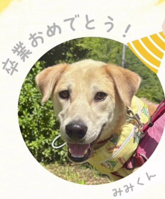 穏やかな暮らしを満喫中