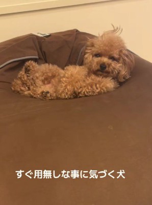 「えっなに？」