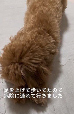 顔を伏せるマルくん