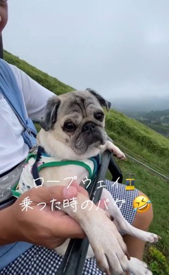 リフトに乗るデビちゃん3