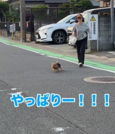 駆け寄る姿にホッコリ♡