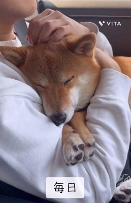 甘えん坊なキョロスケくん