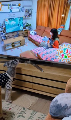 テレビに自分が出た時の風太くん7