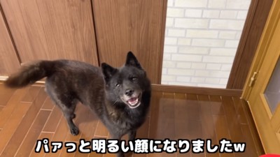 笑顔の一休さん