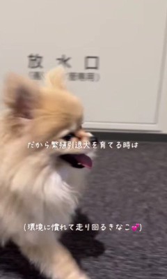 それでも笑顔にしてあげたい…