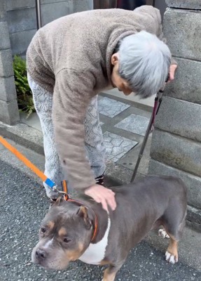 アメリカンブリーの小太郎ちゃん