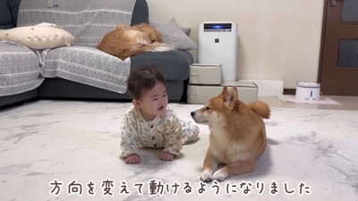 うにくんが子守り