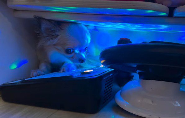 青いミラーボール