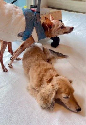 グル活は一旦休憩かな?