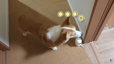 部屋の前でもじもじ…