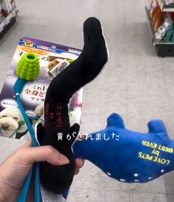 たくさんのおもちゃ