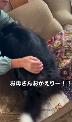 マリちゃんの熱烈歓迎8