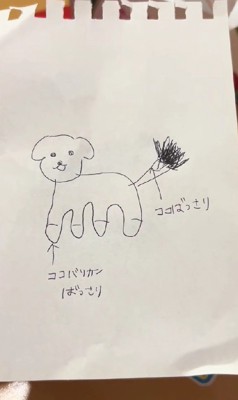 イラストでオーダーしてみた