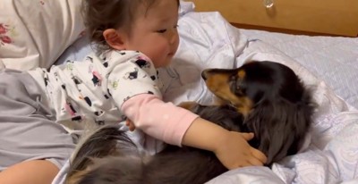 寄り添い合いながら眠ったり…