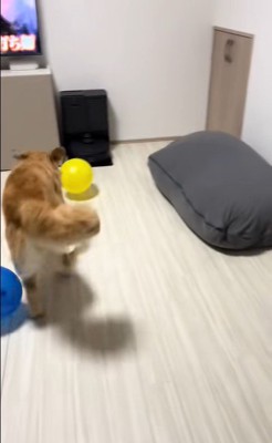 たくさん風船が出てきた時のさらちゃん7