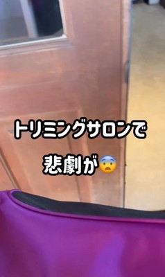 はるちゃん＆なつちゃんのお迎え