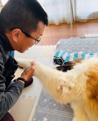 嬉しそうに前足を握るお父さん