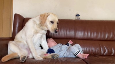 「あらら、大丈夫？」