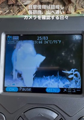 なかなか捕まらない…