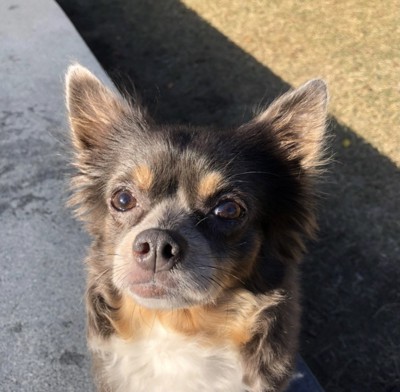 いつも側で寄り添ってくれた