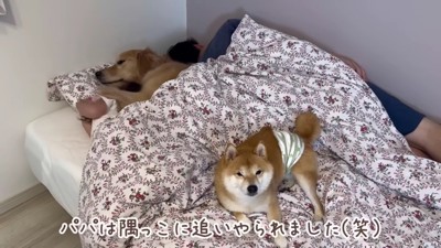 ベッド狭すぎ…！！